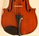 Old Violin Labeled Vicentino 1904 Geige Violon Violino Violine Fiddle String photo 4