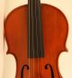 Old Violin Labeled Vicentino 1904 Geige Violon Violino Violine Fiddle String photo 5