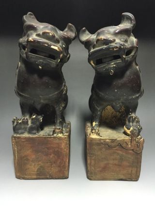 Pair Chinese Antique Porcelain Pottery Lion Foo Dogs 16/17 Century Ming Dynasty photo