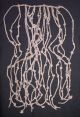Authentic And Very Rare Pre Columbian Chnacay Quipu The Americas photo 6