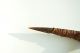 Rare Antique African Tribal War Club / Spear / Weapon Wood Leather Bone Other photo 1