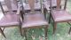 6 Victorian Chesley Furniture Co.  T - Back Tiger Oak Dining Chairs From Canada 1900-1950 photo 4