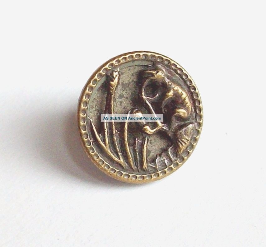 Frog Smoking Pipe Button Picture Buttons photo