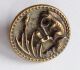 Frog Smoking Pipe Button Picture Buttons photo 4