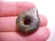 Ancient Chinese Jade Bead Looks Like A Curled Dragon Vg, Far Eastern photo 3