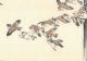 Haruna Kinzan 1903 Koban Woodblock Print Birds And Flowers - Sparrows Prints photo 1
