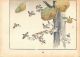 Haruna Kinzan 1903 Koban Woodblock Print Birds And Flowers - Sparrows Prints photo 2