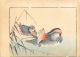 Haruna Kinzan 1903 Koban Woodblock Print Birds & Flowers Mandarin Duck Prints photo 3
