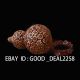 Exquisite Hand - Carved Walnut Statue - - - - Gourd Other photo 5