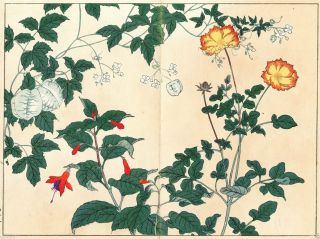First Edition 1905 Oban Woodblock Print Flowers Of The Four Seasons 13 photo