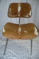 Rare Limited Charles Eames Pair Chairs Herman Miller Cowhide Slunk Slink Mid-Century Modernism photo 11