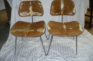 Rare Limited Charles Eames Pair Chairs Herman Miller Cowhide Slunk Slink photo