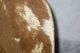 Rare Limited Charles Eames Pair Chairs Herman Miller Cowhide Slunk Slink Mid-Century Modernism photo 4