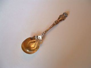 Wallace Irian Sterling Silver Sugar Spoon Never Monogrammed 1902 Lady Cupids photo