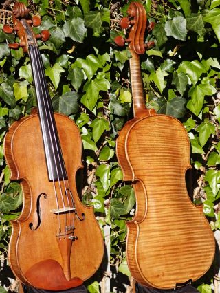 Antique Czech Violin By Willy Kostler,  Graslitz. ,  Mature Sound. photo