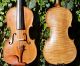 Antique Czech Violin By Willy Kostler,  Graslitz. ,  Mature Sound. String photo 1