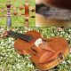 Antique Czech Violin By Willy Kostler,  Graslitz. ,  Mature Sound. String photo 3