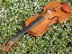 Antique Czech Violin By Willy Kostler,  Graslitz. ,  Mature Sound. String photo 4