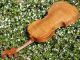 Antique Czech Violin By Willy Kostler,  Graslitz. ,  Mature Sound. String photo 5