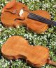 Antique Czech Violin By Willy Kostler,  Graslitz. ,  Mature Sound. String photo 8