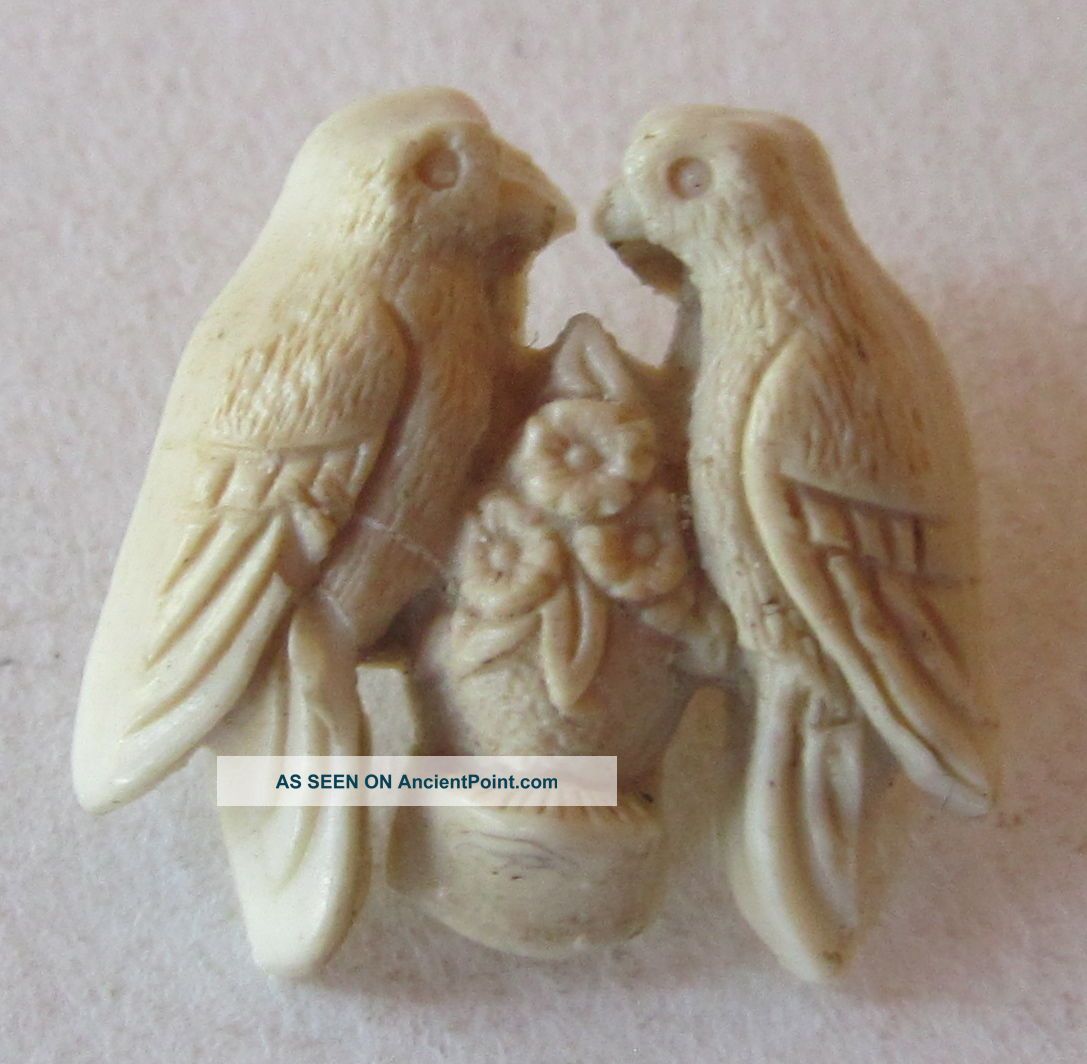 Realistic Love Bird Plastic Button,  Flowers Buttons photo