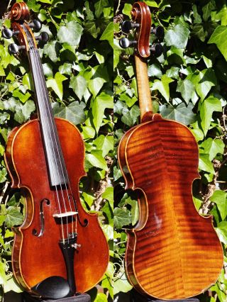 Antique Czech Violin By L.  F.  Prokop,  Chrudim,  1912.  Wonderful Tone; photo