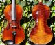 Antique Czech Violin By L.  F.  Prokop,  Chrudim,  1912.  Wonderful Tone; String photo 1