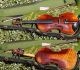Antique Czech Violin By L.  F.  Prokop,  Chrudim,  1912.  Wonderful Tone; String photo 8