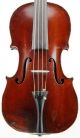 Fine Antique French Violin,  Jacques Bocquay,  Paris,  Ready To Play, String photo 1