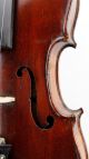 Fine Antique French Violin,  Jacques Bocquay,  Paris,  Ready To Play, String photo 7
