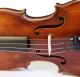 Old Fine Violin Lab.  Pressenda 1838 Geige Violon Violino Violine Fiddle Italian String photo 2