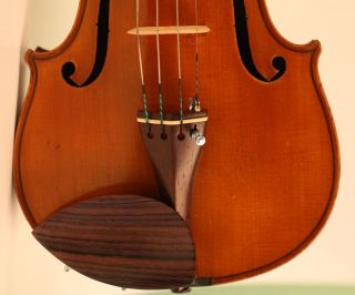 Finest Old Italian Violin Pedrazzini Label Geige Violon Violine Violino Viola photo