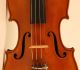 Finest Old Italian Violin Pedrazzini Label Geige Violon Violine Violino Viola String photo 1