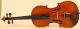 Finest Old Italian Violin Pedrazzini Label Geige Violon Violine Violino Viola String photo 2