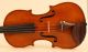 Finest Old Italian Violin Pedrazzini Label Geige Violon Violine Violino Viola String photo 3