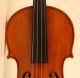 Finest Old Italian Violin Pedrazzini Label Geige Violon Violine Violino Viola String photo 4