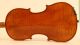 Finest Old Italian Violin Pedrazzini Label Geige Violon Violine Violino Viola String photo 6