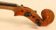 Finest Old Italian Violin Pedrazzini Label Geige Violon Violine Violino Viola String photo 8