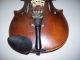 Antique Jacobus Stainer Violin,  Made In Germany String photo 4