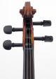 Italian Antique Giuseppe Bertolli Labeled Old 4/4 Violin String photo 3