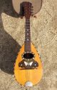 1900 ' S Wood Mandolin Bowlback Butterfly Design With Case String photo 1