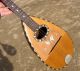 1900 ' S Wood Mandolin Bowlback Butterfly Design With Case String photo 5