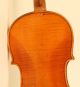 Old Fine Violin Labeled Camilli 1740 Geige Violon Violine Violino Viola Italian String photo 6