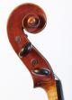 Old Fine Violin Labeled A.  Postacchini 1856 Geige Violon Violine Viola Violino String photo 9