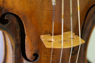 300 Years Old Antique 4/4 Violin P.  Guarnerius 1730 Geige Violon photo