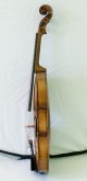 300 Years Old Antique 4/4 Violin P.  Guarnerius 1730 Geige Violon String photo 5