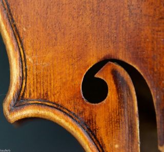 200 Years Old Italian 4/4 Violin Labeled J.  F.  Pressenda 1832 Violon Geige photo
