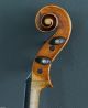 200 Years Old Italian 4/4 Violin Labeled J.  F.  Pressenda 1832 Violon Geige String photo 1