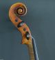 200 Years Old Italian 4/4 Violin Labeled J.  F.  Pressenda 1832 Violon Geige String photo 3