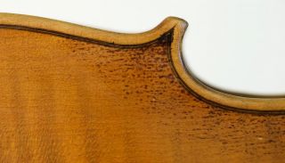 Old Fine Violin Lab.  E.  Soffritti 1924 Geige Violon Violino Violine Viola Fiddle photo